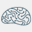 brainquire.com