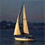 sailinrio.com
