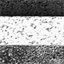 chromosom16.de