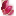 floresfrescas.opentiendas.com