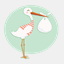 splendidstorks.com