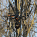 drones-bordeaux.tel