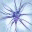neuronanchilozat.wordpress.com