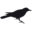 mudlark.com