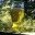 austinbrew.wordpress.com