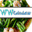 wwcalculator.com