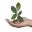 greentechfund.net
