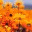dalbas2012.wordpress.com
