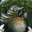 justanotherfingmonkey.wordpress.com
