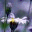 griyajahit.wordpress.com