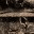 lisajakab.wordpress.com