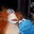 cookiemonstersdiary.wordpress.com