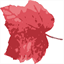 driftingleaflodge.com