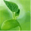 mylifesprout.wordpress.com