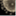 scienceanimation.wordpress.com