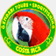 gemdaritours.com