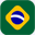 incb.org.br