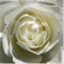 mariansmusingsblog.wordpress.com
