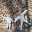 isewblanche.wordpress.com