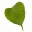 pipaltreeconsultancy.wordpress.com