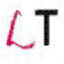 leidituratti.com