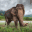 howibecameanelephant.com