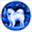 samojed.com