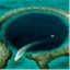 iambelize.wordpress.com