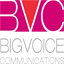bigvoicecomm.com