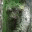 joergsteinkamp.wordpress.com