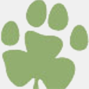 shamrockranchkennels.com