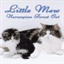 littlemew.jp