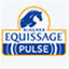 equissage-pferdemassage.de
