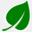 vincaminor.org