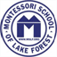 mslfap.org