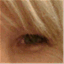 theauthorwithin.wordpress.com