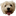 failpuppy.com