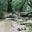 puresunshineblog.wordpress.com