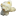 popcorn.dk