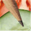 graphicsalad.wordpress.com
