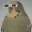 beakblog.wordpress.com
