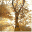 soulpaths.wordpress.com