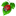 jwalek.com