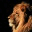 conquervenus.wordpress.com
