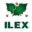 ilex-kert.hu