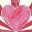 calicares.wordpress.com