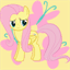 flutterguy.com