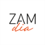 zamdia.com