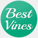 bestofvin.es