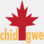 igwe.ca